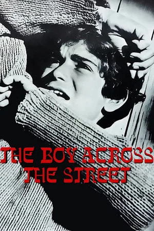 Постер: The Boy Across the Street