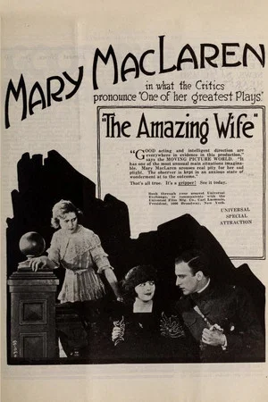 Постер: The Amazing Wife