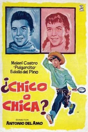 Постер: ¿Chico o chica?