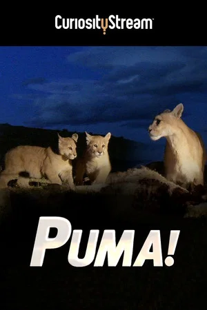 Постер: Puma!