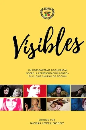 Постер: We Are Visible