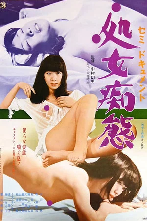 Постер: Semi-document: Shojo chitai