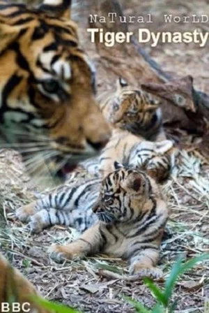 Постер: Tiger Dynasty