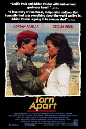 Постер: Torn Apart