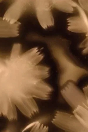 Постер: A Perfect Storm