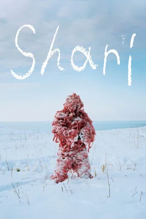 Постер: Shari