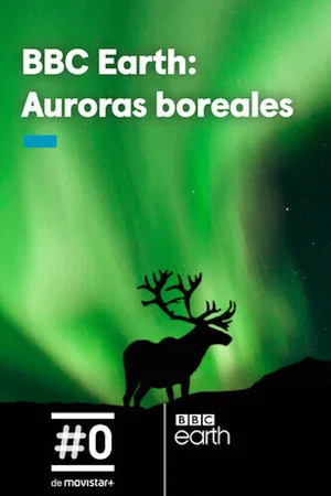 Постер: Gordon's Northern Lights Adventure