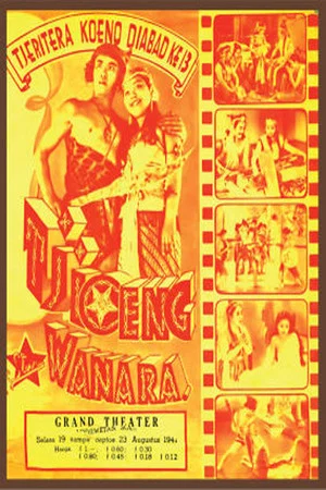 Постер: Tjioeng Wanara