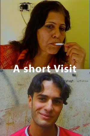 Постер: A short visit