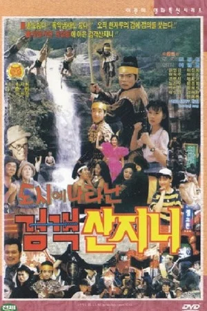 Постер: Swordsman San Ji-Ni Appeared in the City
