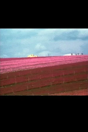 Постер: Flower Fields
