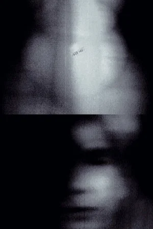 Постер: Vivantes lueurs