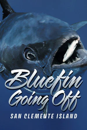 Постер: Bluefin Going Off at San Clemente Island
