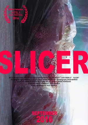 Постер: Slicer
