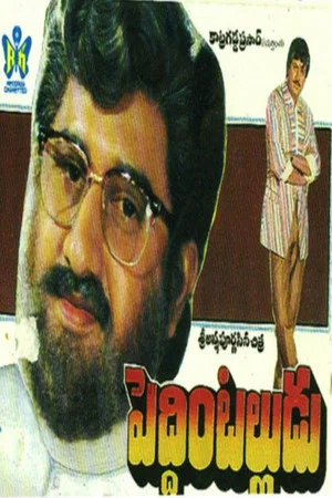 Постер: Peddinti Alludu
