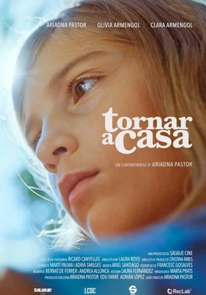 Постер: Tornar a casa