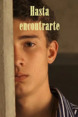 Постер: Hasta encontrarte