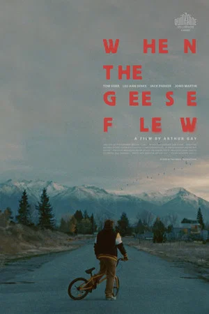 Постер: When the Geese Flew