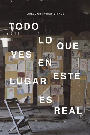 Постер: Todo lo que ves en este lugar es real