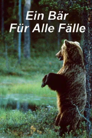 Постер: Ein Bär für alle Fälle