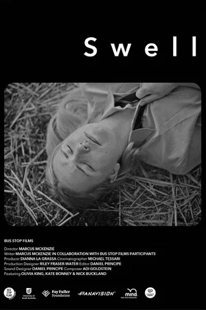 Постер: Swell