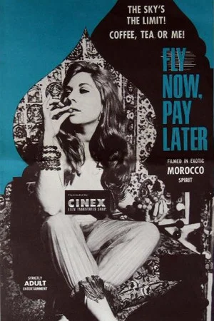Постер: Fly Now Pay Later