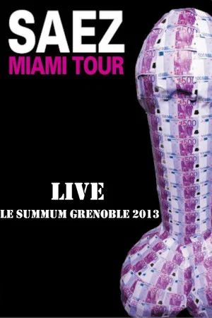 Постер: Damien Saez en live au Summum 2013