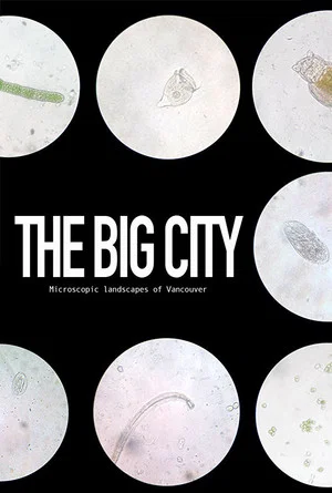 Постер: The Big City