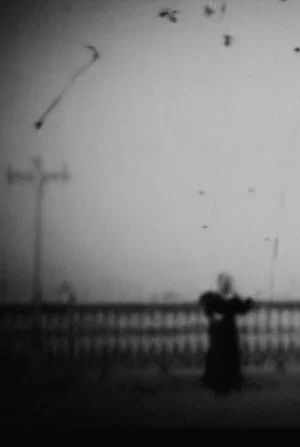 Постер: Il tango della neve
