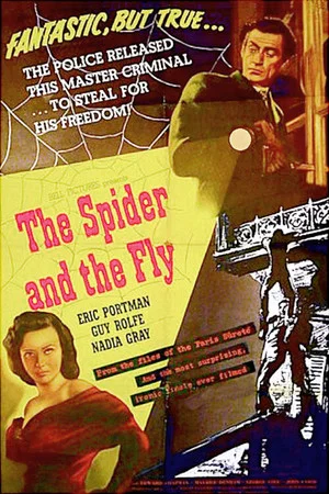 Постер: The Spider and the Fly
