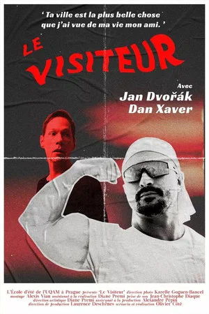 Постер: The Visitor