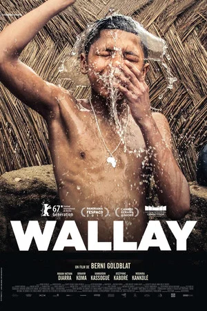 Постер: Wallay
