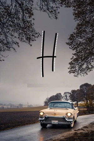 Постер: H