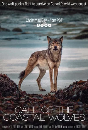 Постер: Call Of The Coastal Wolves