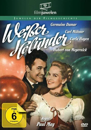 Постер: Weißer Holunder