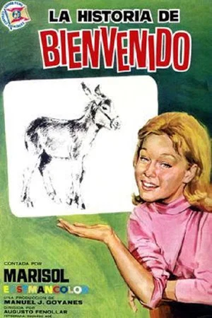 Постер: The Bienvenido's Story
