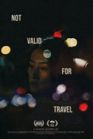 Постер: Not Valid for Travel