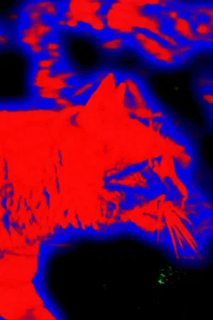 Постер: 9 Lives Measured in Mercury