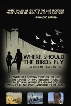 Постер: Where Should the Birds Fly?