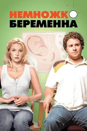 Постер: Немножко беременна
