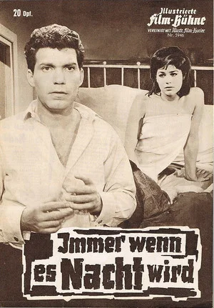 Постер: Immer wenn es Nacht wird