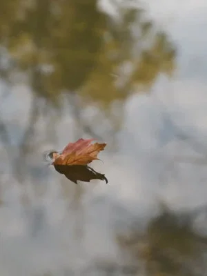 Постер: Forward