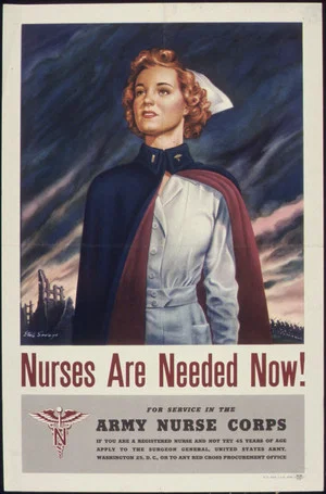 Постер: The Army Nurse