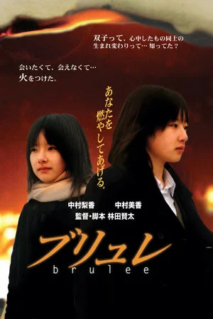 Постер: The Burning