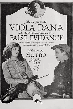 Постер: False Evidence