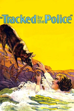 Постер: Tracked by the Police