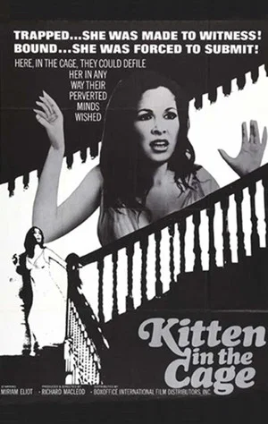 Постер: Kitten in a Cage