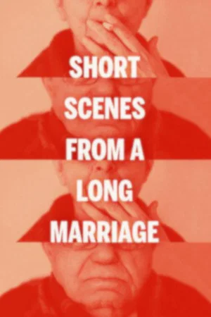 Постер: Short Scenes from a Long Marriage