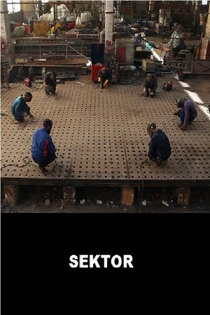 Постер: Sector