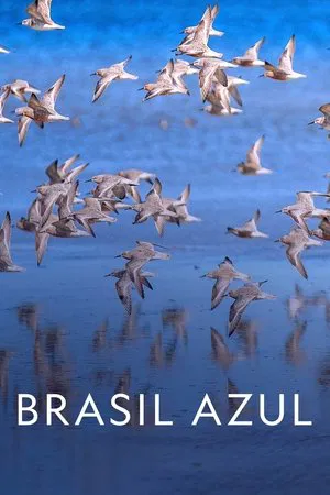 Постер: Blue Brazil